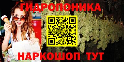 2c-b Будённовск